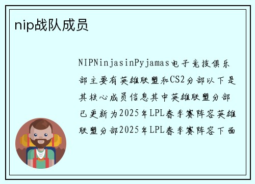nip战队成员